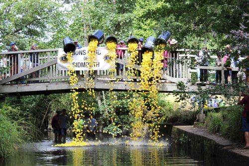 Duck Race 20.07.25 - Ducks launch KRIMG 2423