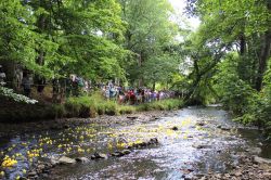 Duck Race 20.07.25 - Ducks underway KRIMG 2483