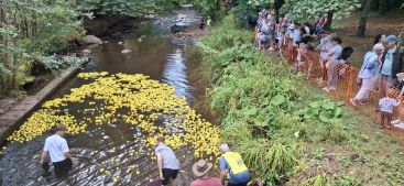Duck Race 20.07.25 - Ducks underway by PR