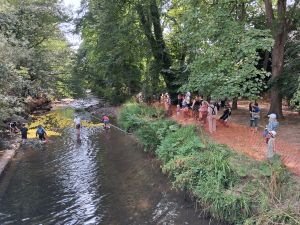 Ducks well on their way CJR 20260719 150454 Ducks well on their way CJR 20260719 150454